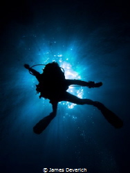 Scuba Eclipse

This sunburst silhouette has a kind of s... by James Deverich 